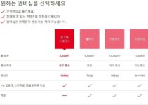 넷플릭스 광고형 스탠다드 요금제 – 5,500원 풀HD 화질에 2명 동시 시청 가능