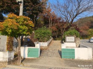 충주 민들레 카페 & 돈까스 맛집 - 애견동반 가능