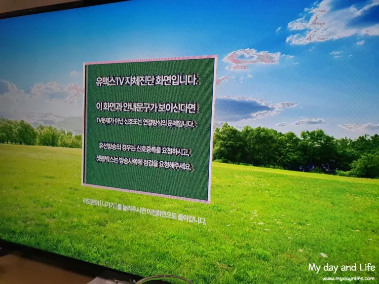 유맥스 TV 화면 이상 AS 후기